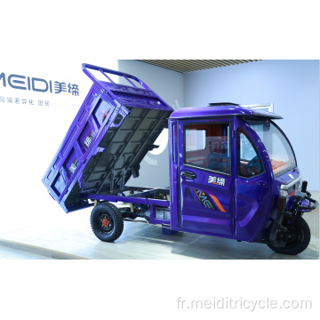 Tricycle électrique de cargaison Luhu1.8 le plus sûr
